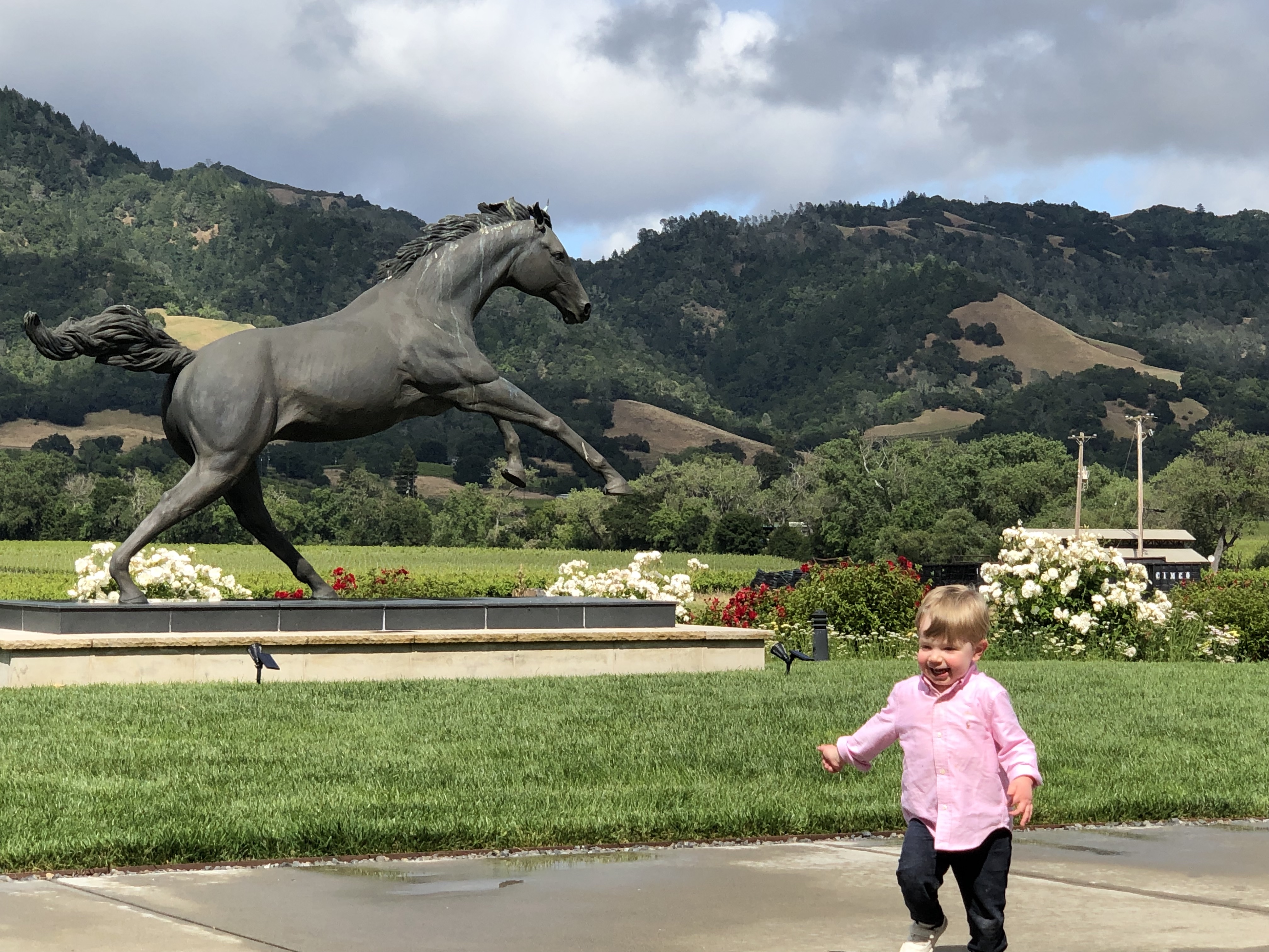 20190526_230800354_iOS