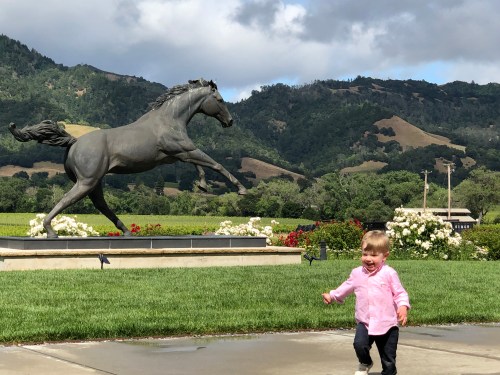 20190526_230800354_iOS