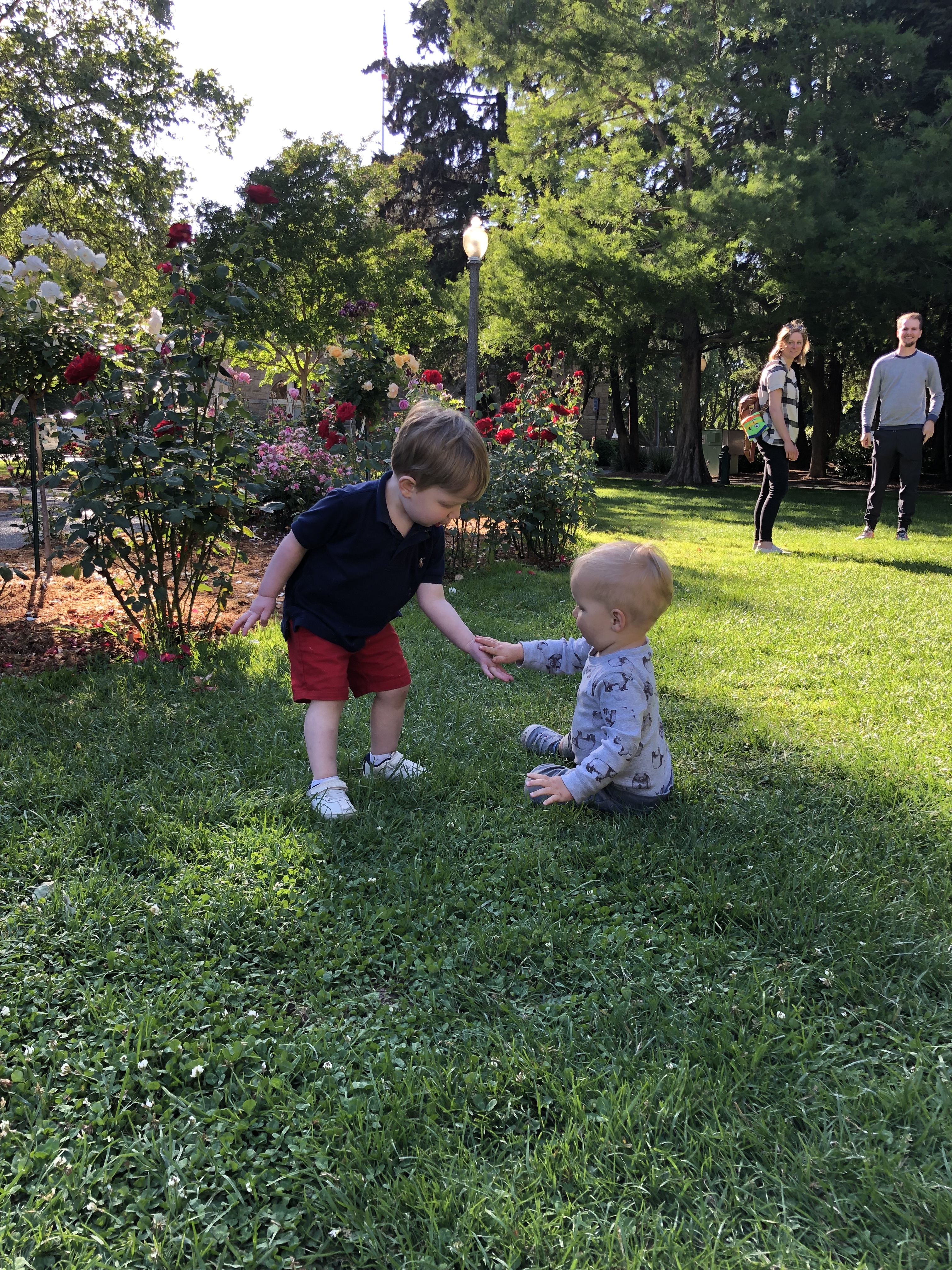 20190528_005421543_iOS