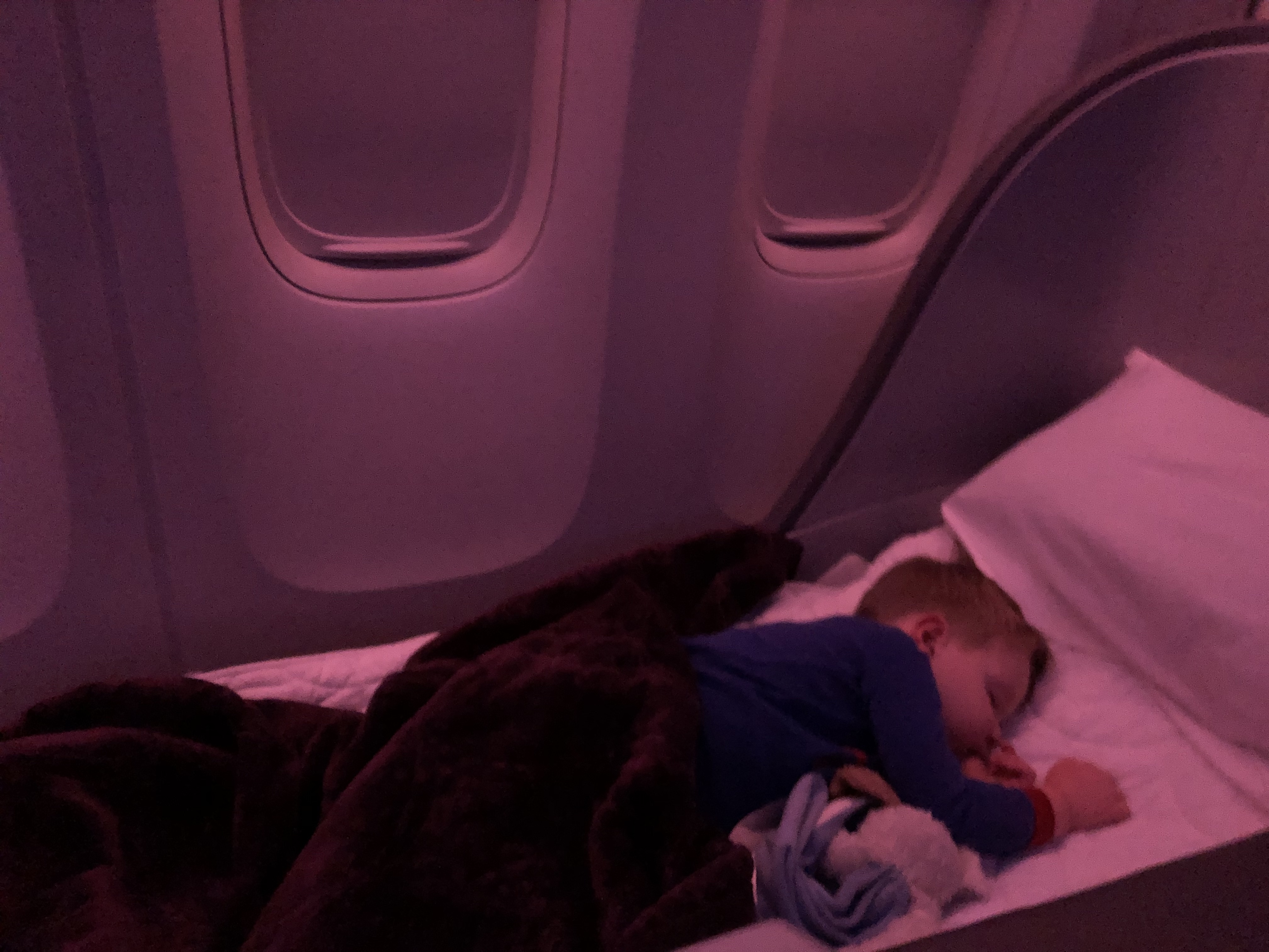 20190724_043928404_iOS