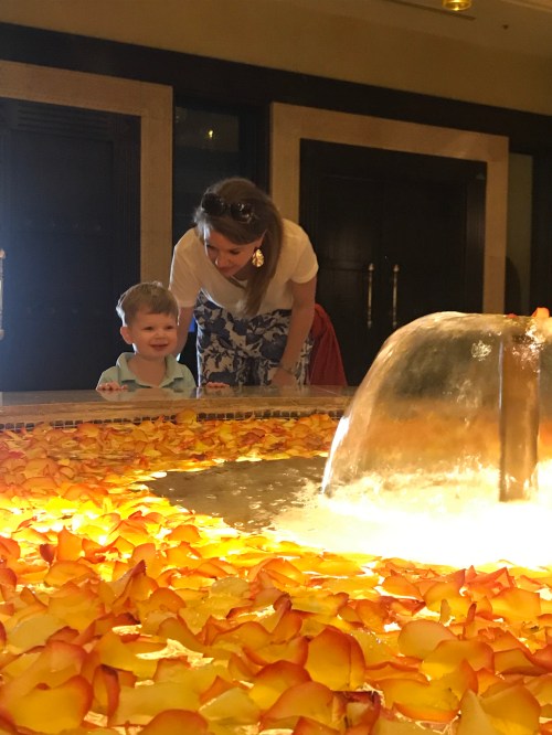 20190725_043234165_iOS