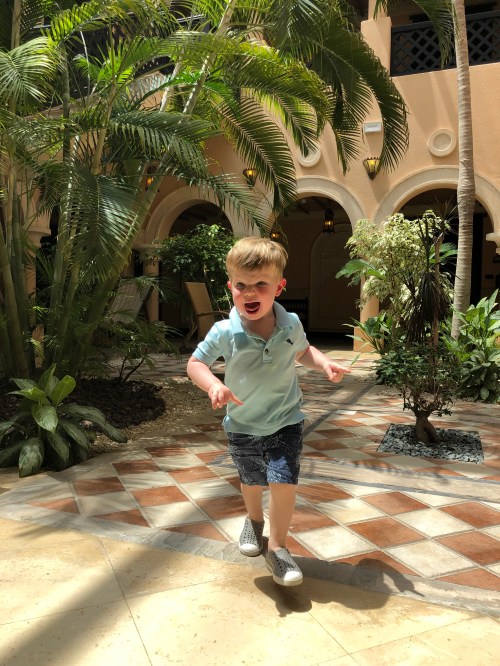 20190725_095822465_iOS