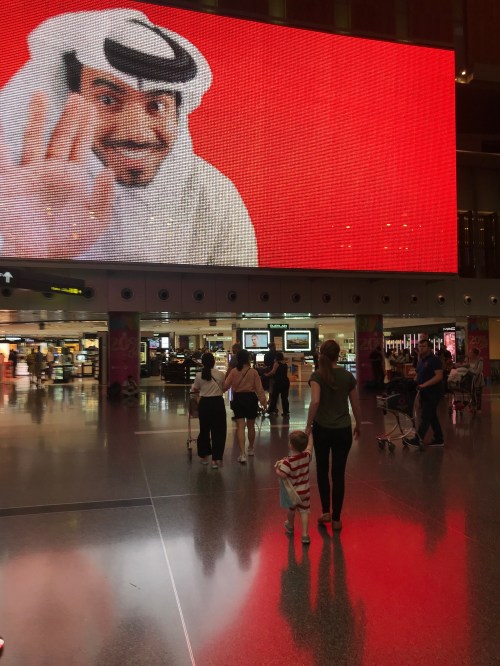 20190726_033728482_iOS