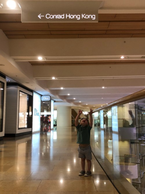 20190731_101954449_iOS