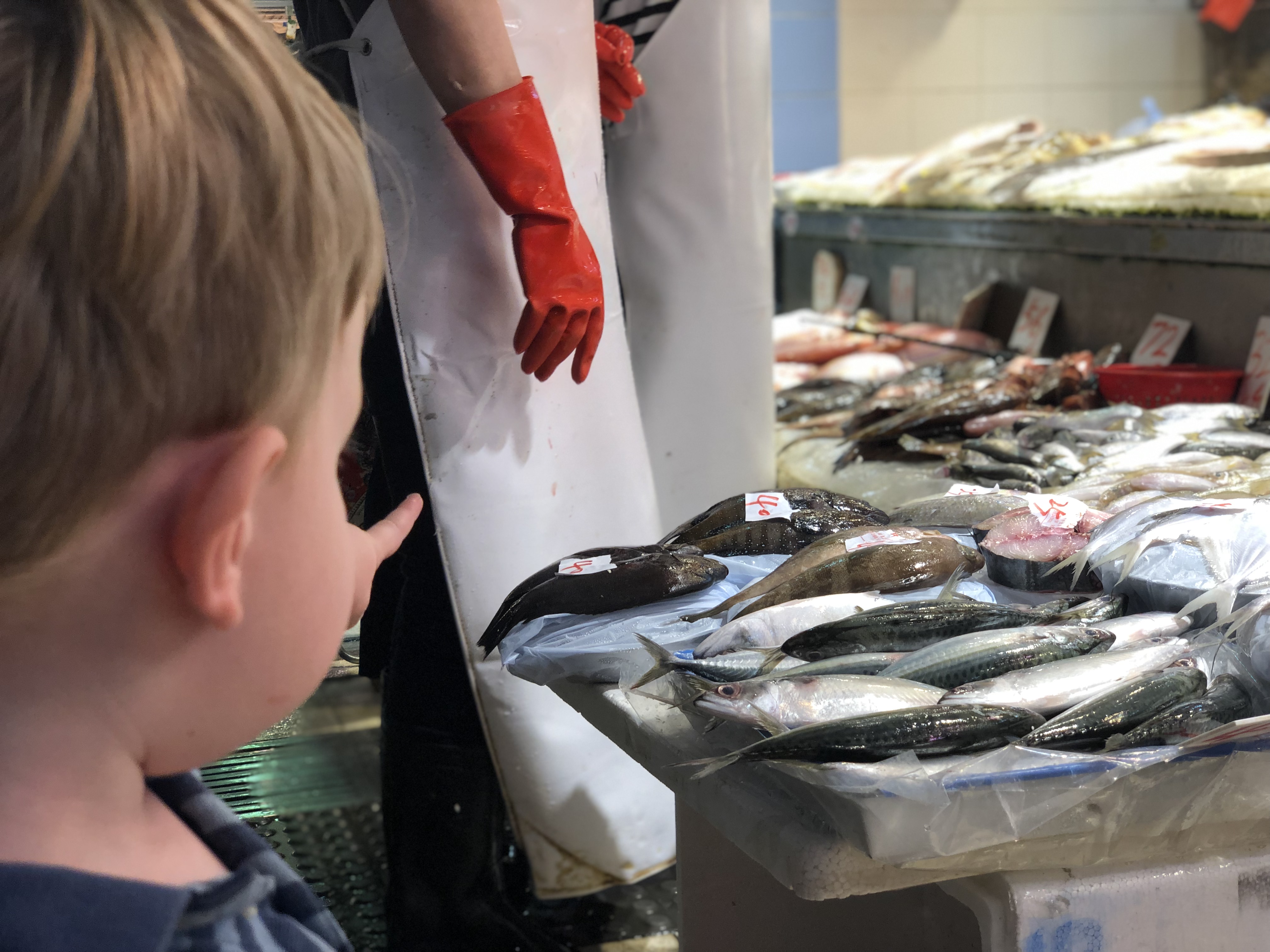 20190802_020124562_iOS