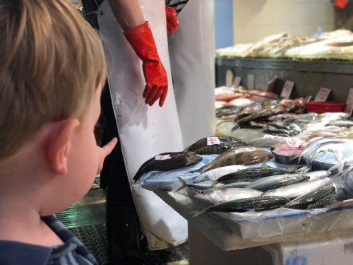 20190802_020124562_iOS