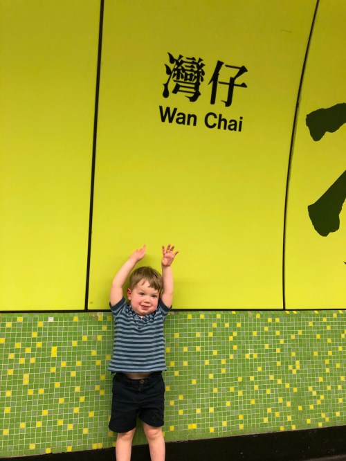 20190802_024635485_iOS