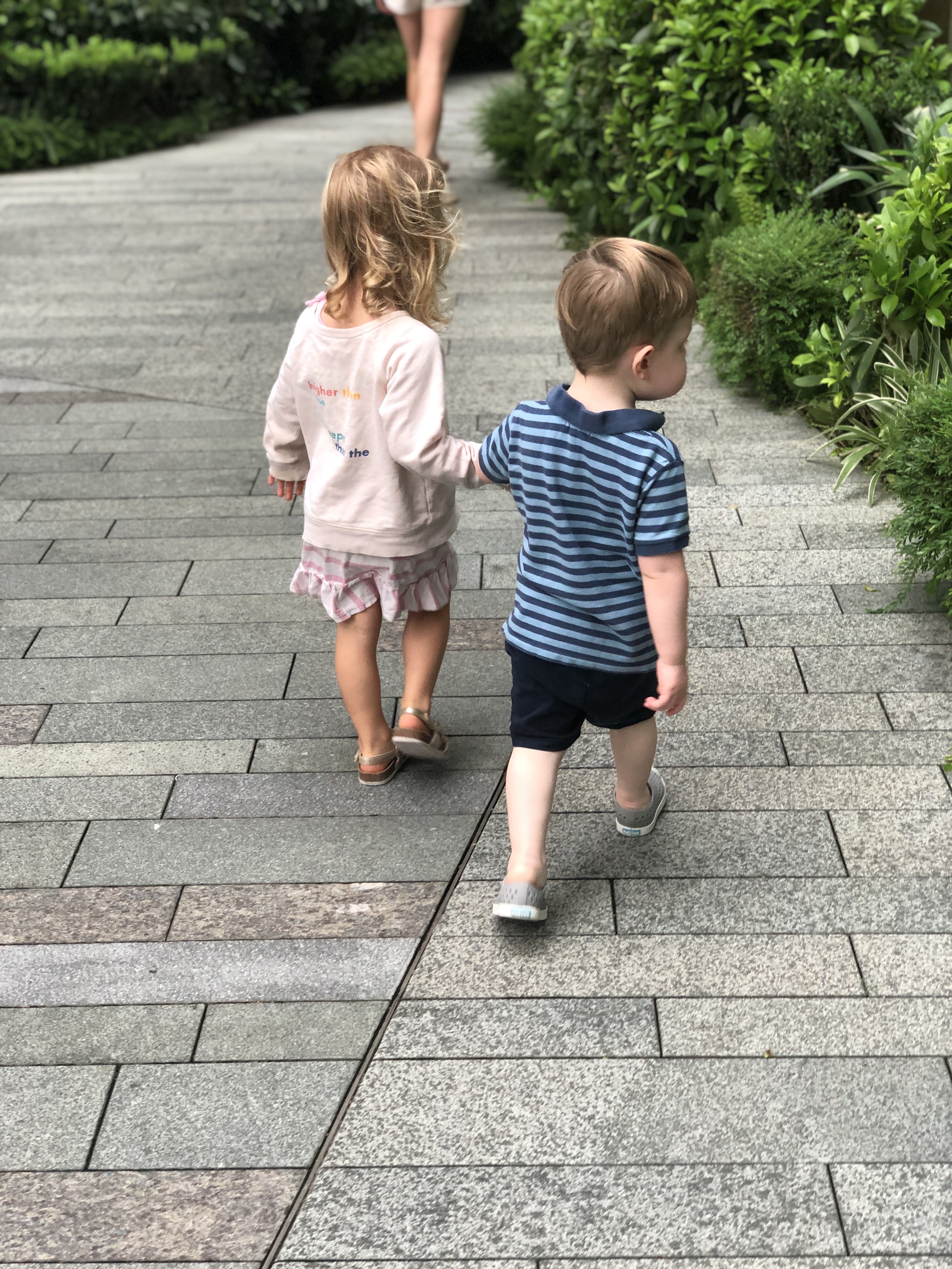 20190802_090328054_iOS