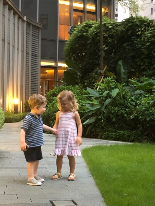 20190802_105143099_iOS