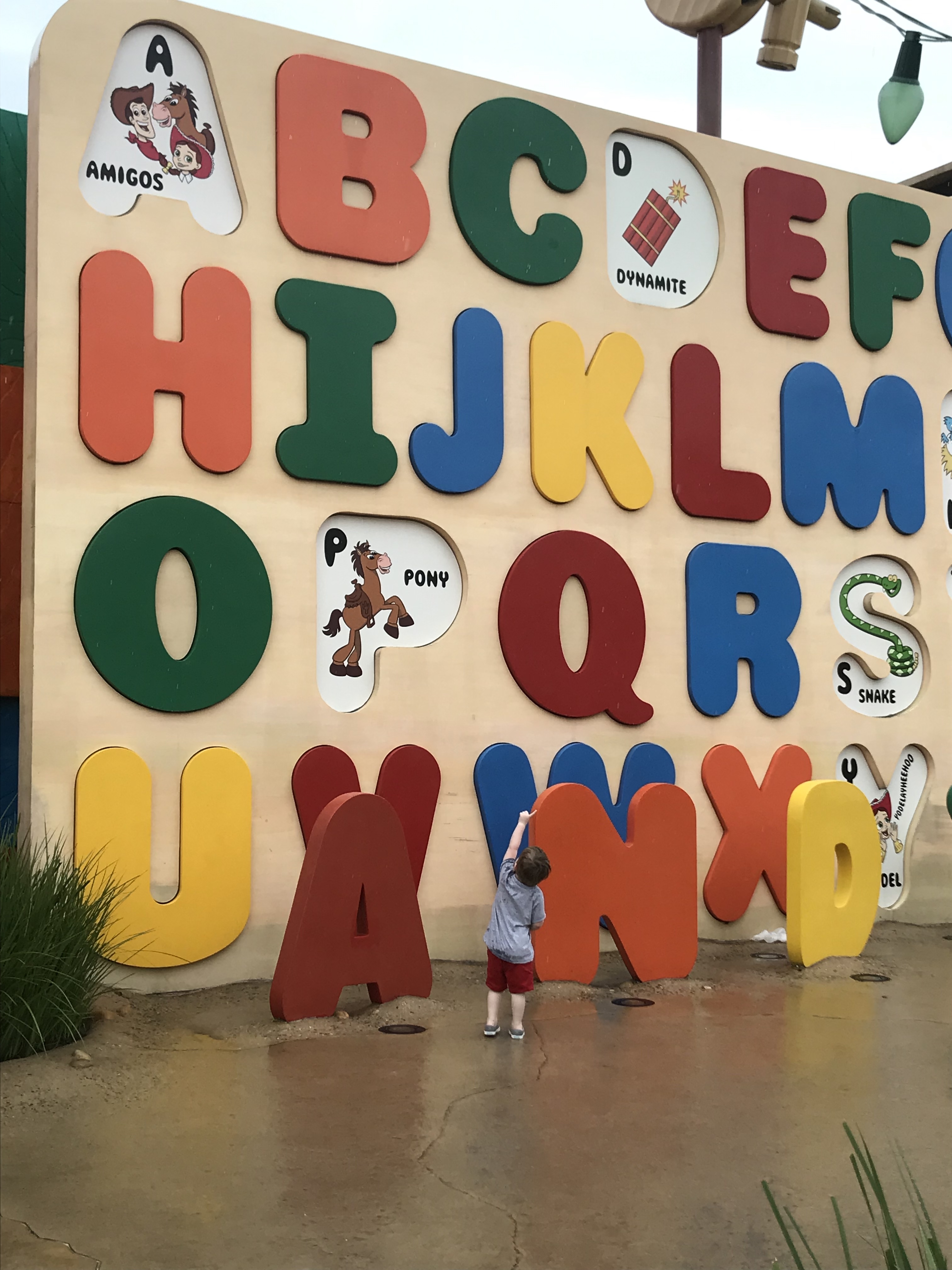 20190803_060254109_iOS