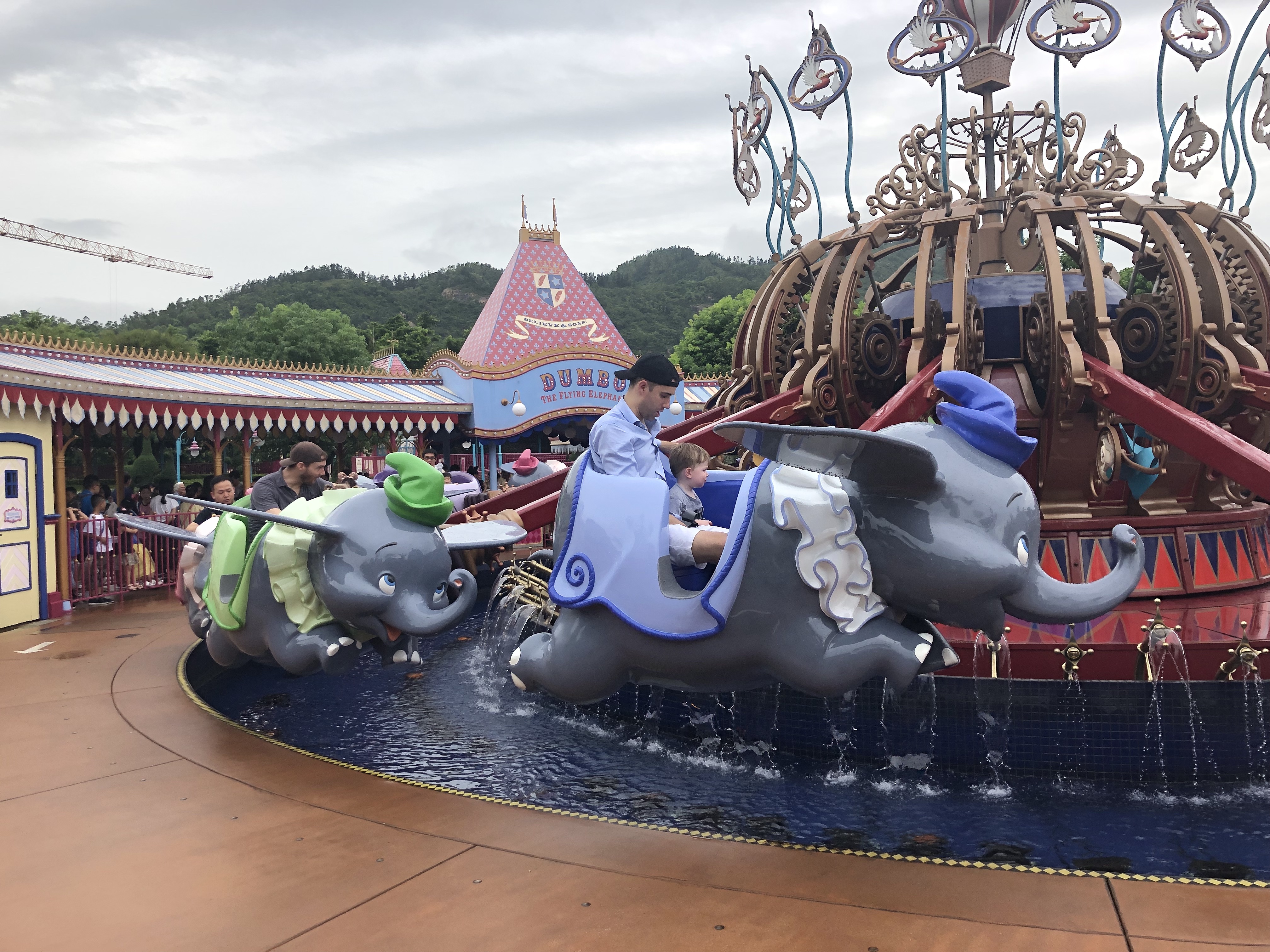 20190803_063013241_iOS