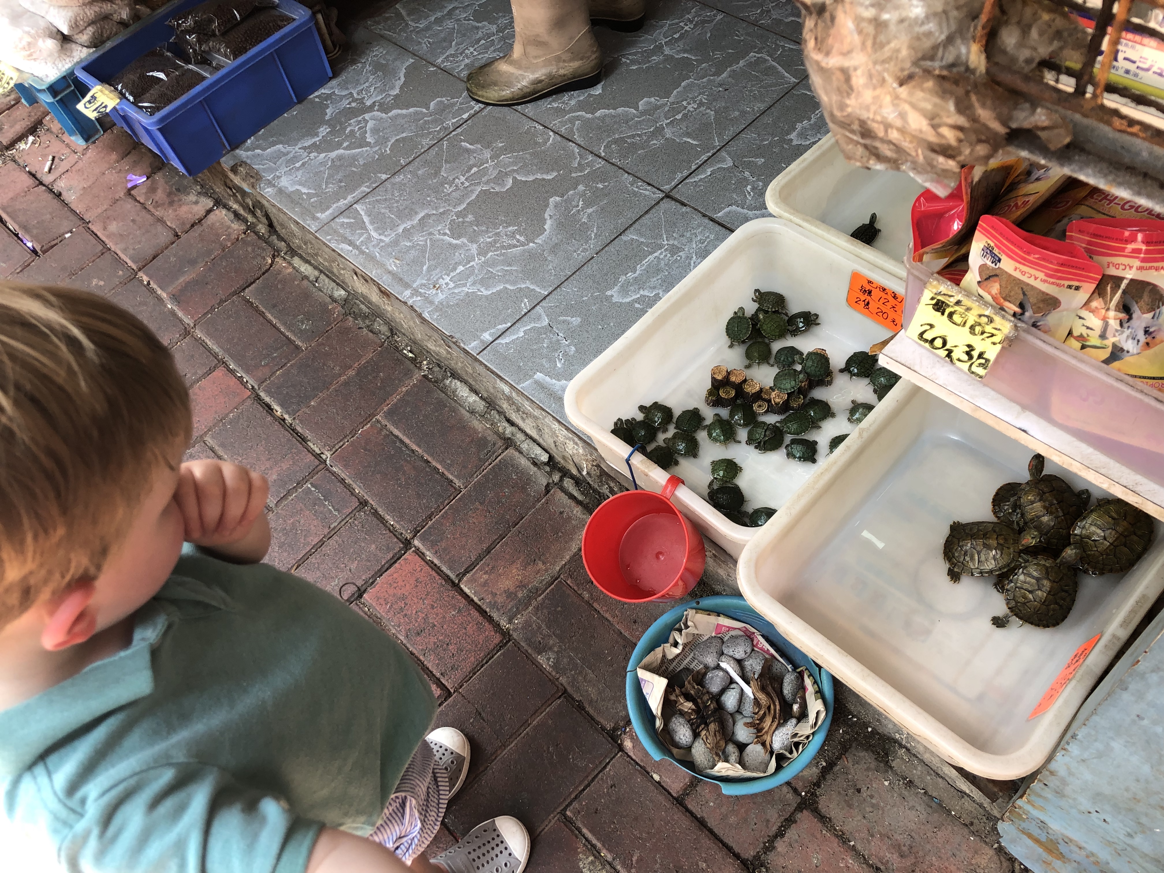 20190808_031719451_iOS