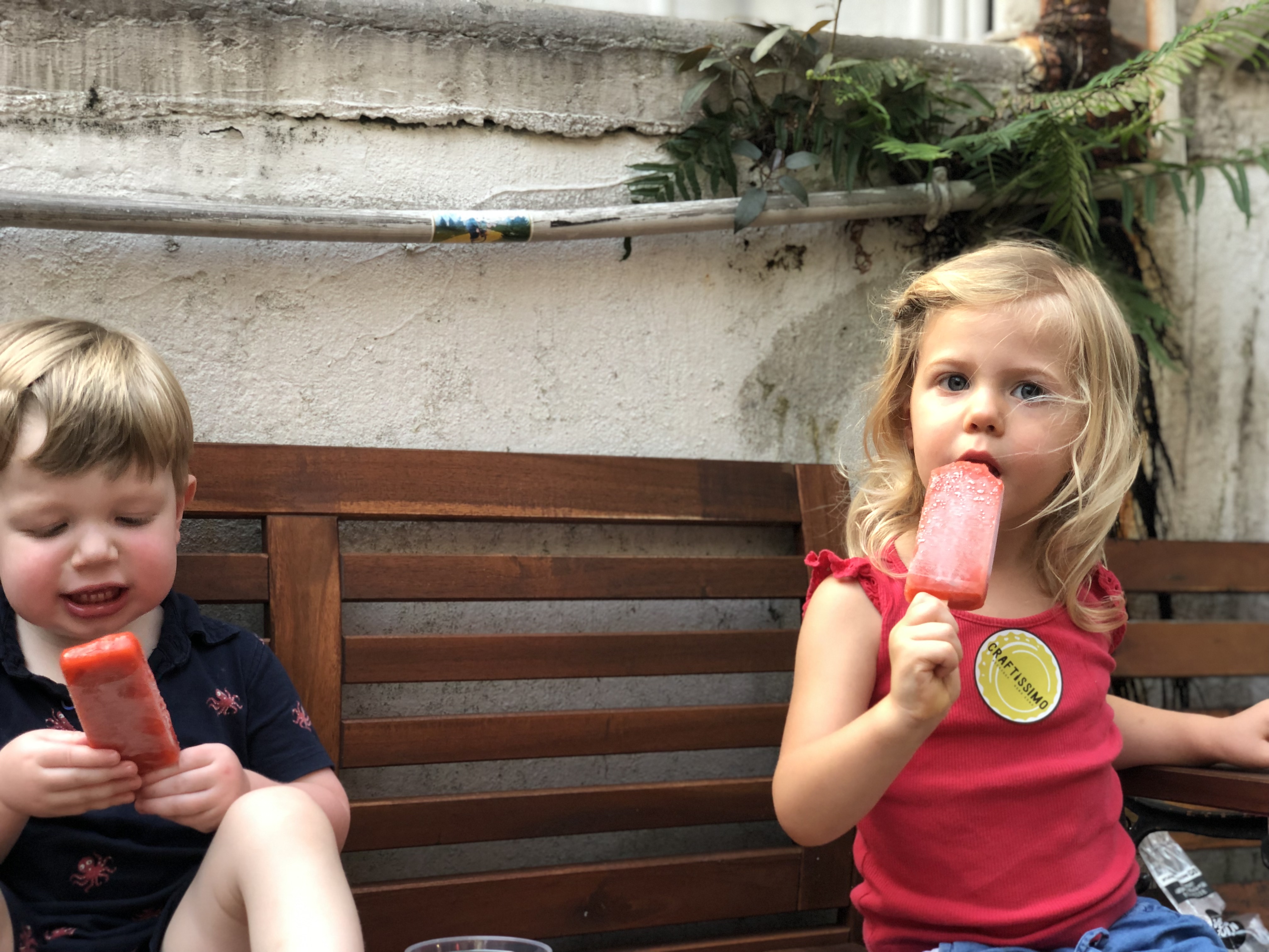 20190809_100451947_iOS