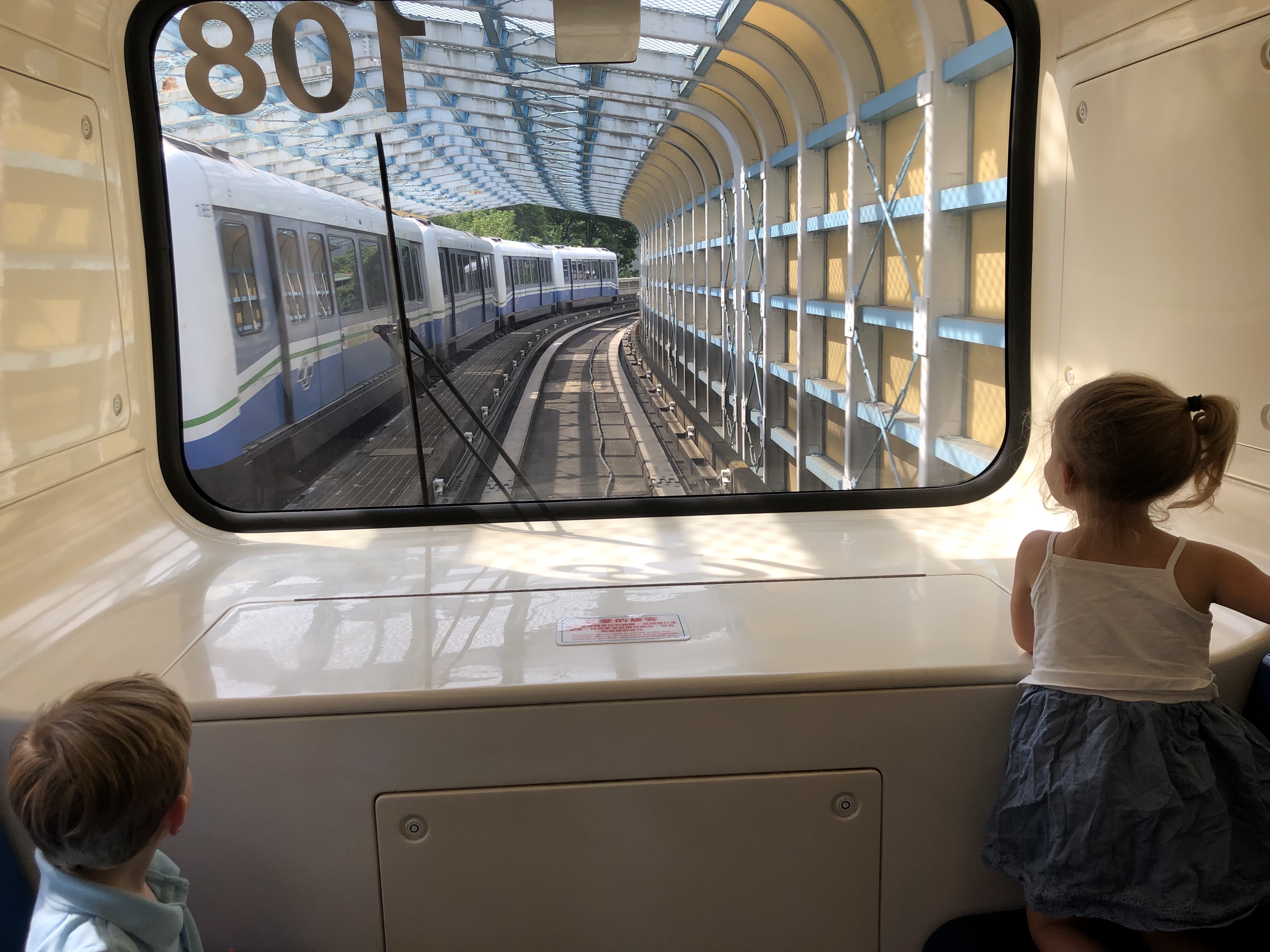 20190811_011605198_iOS