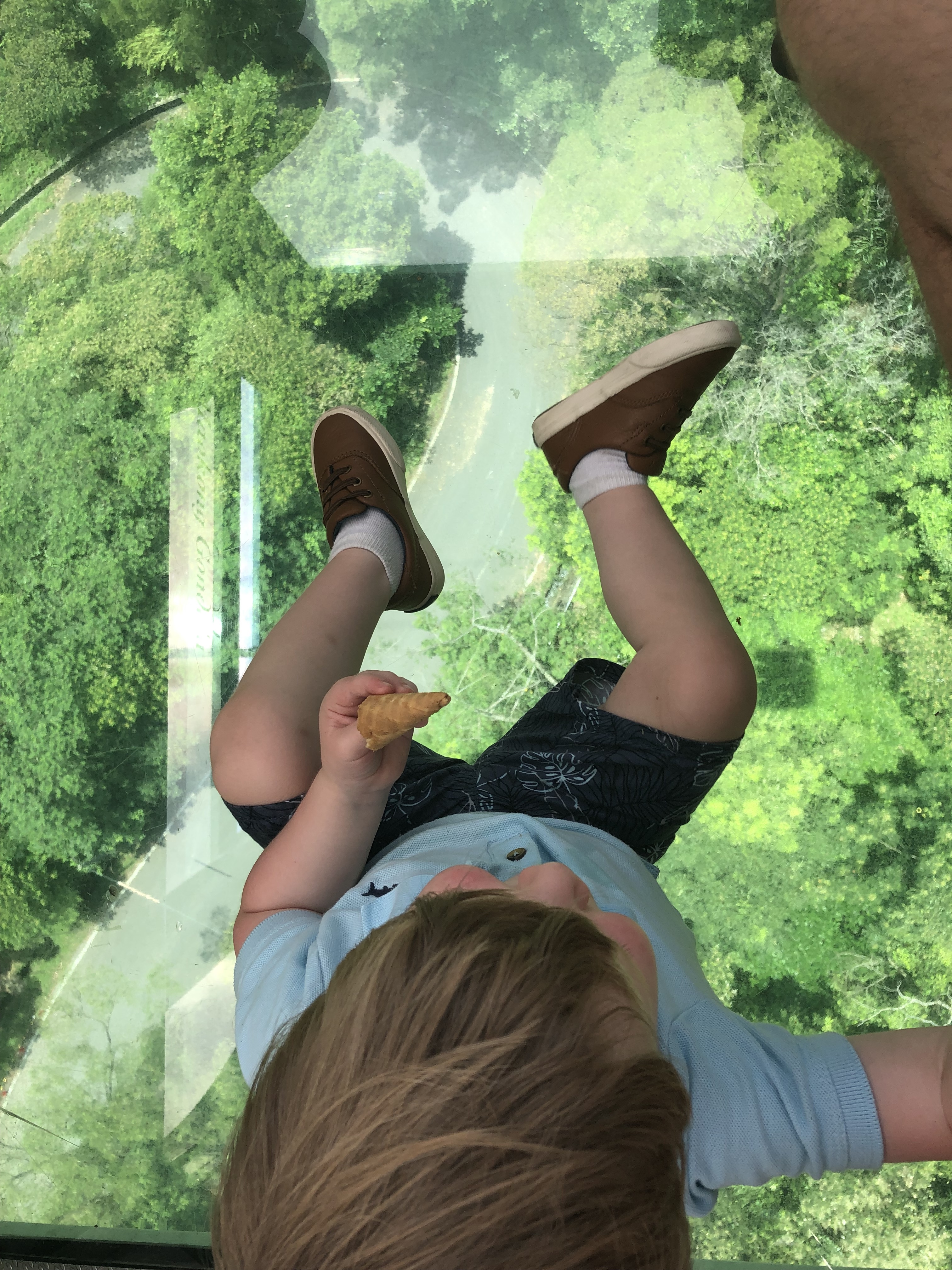 20190811_041756919_iOS