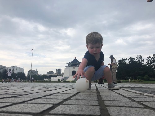 20190812_031634476_iOS