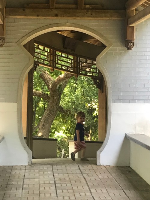 20190813_031009643_iOS