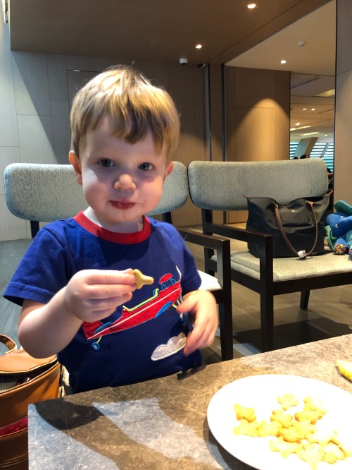 20190813_055609121_iOS