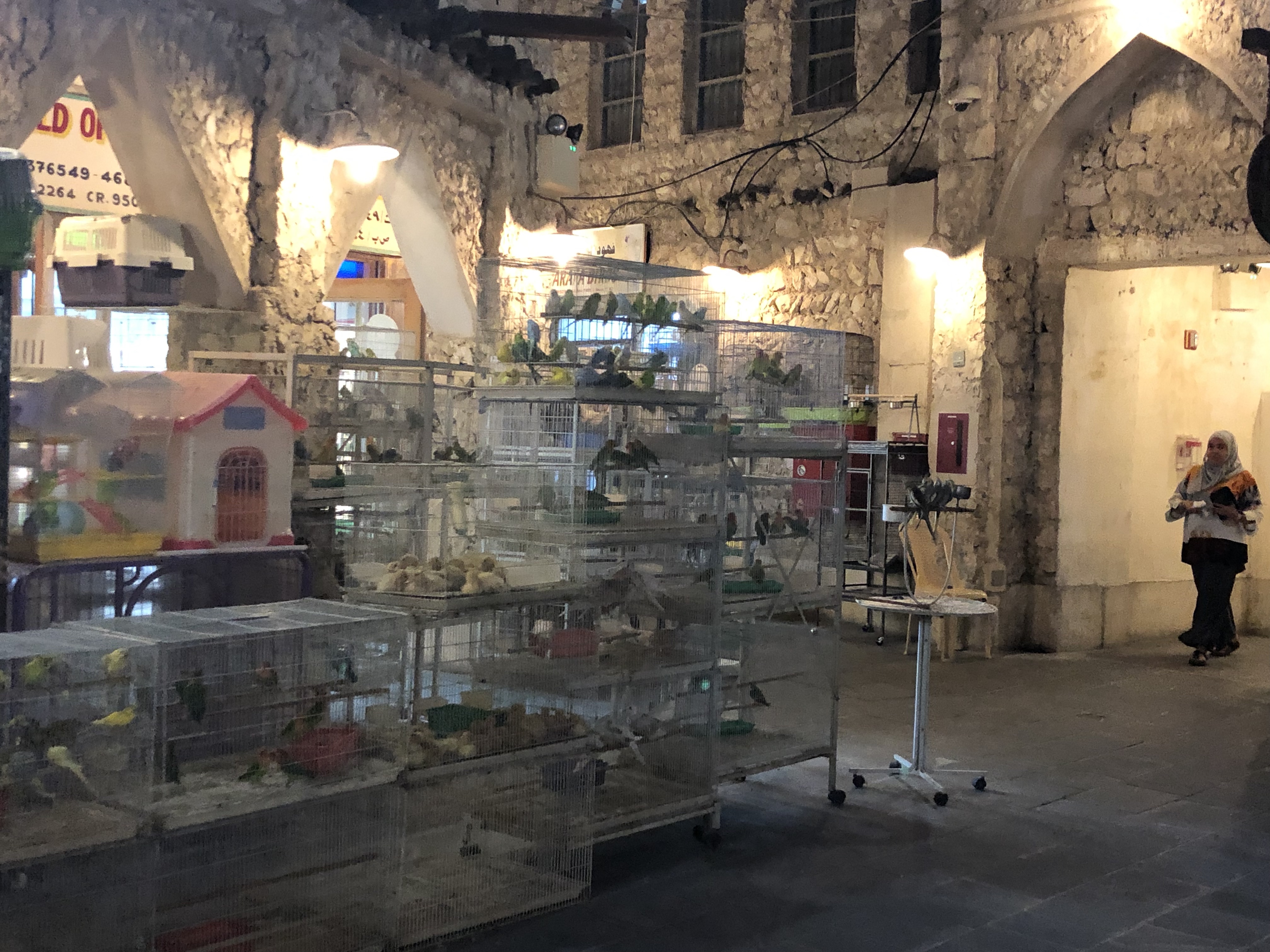 20190821_175304413_iOS