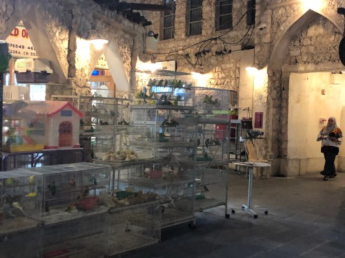 20190821_175304413_iOS