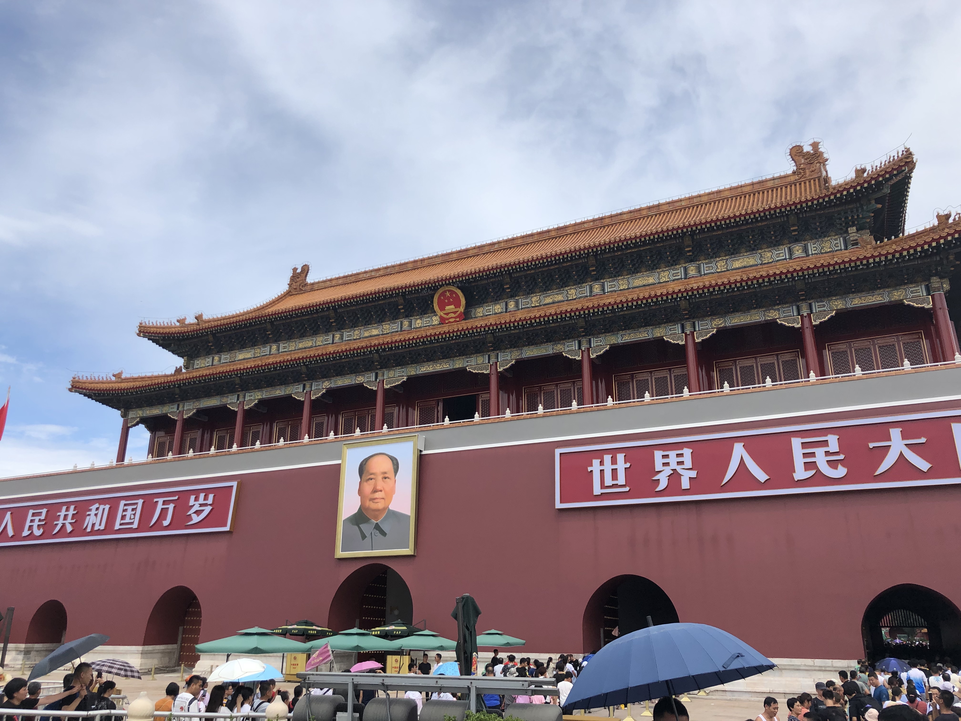 20190814_031817500_iOS