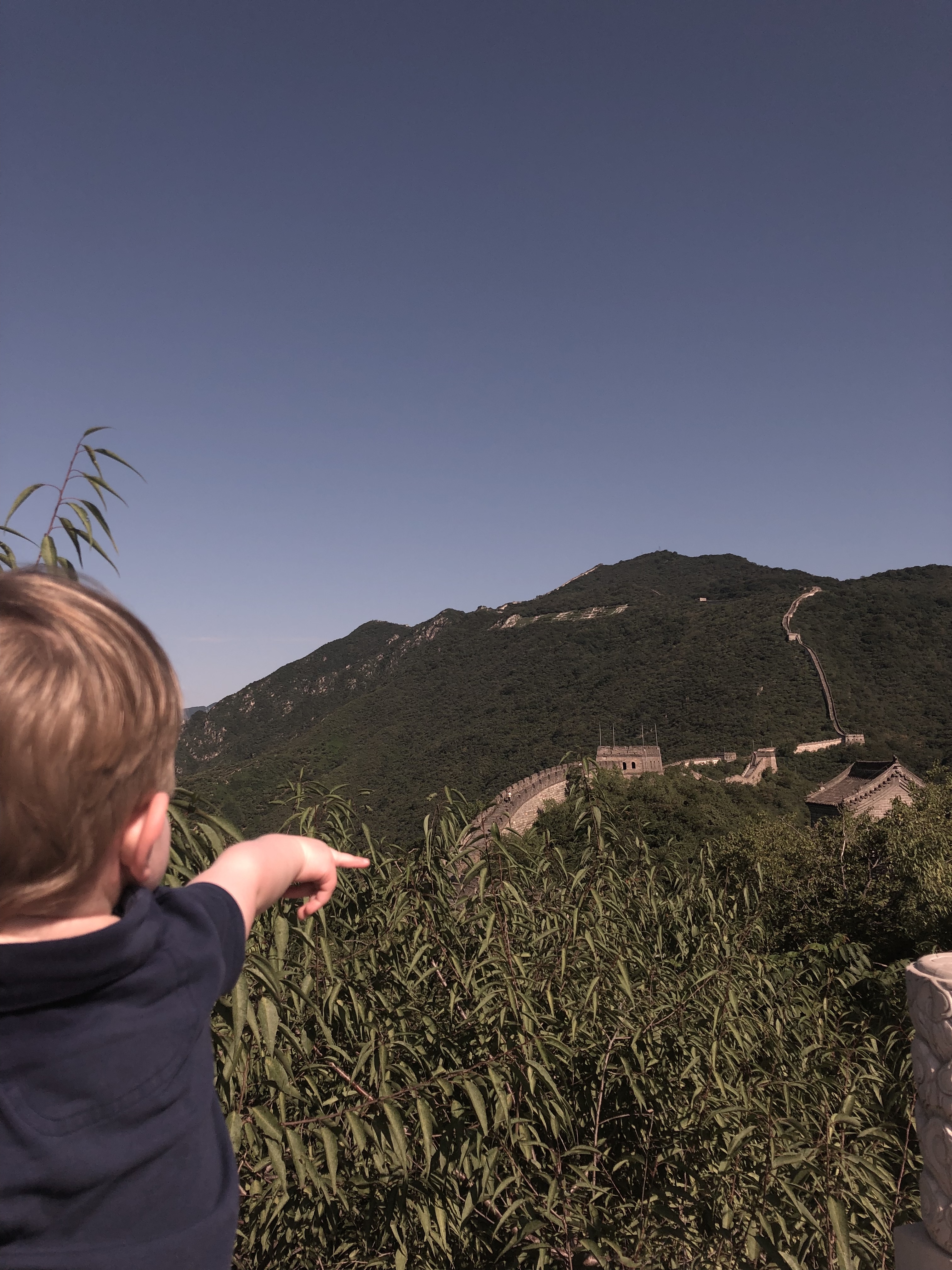 20190815_005122129_iOS