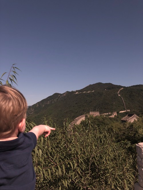 20190815_005122129_iOS