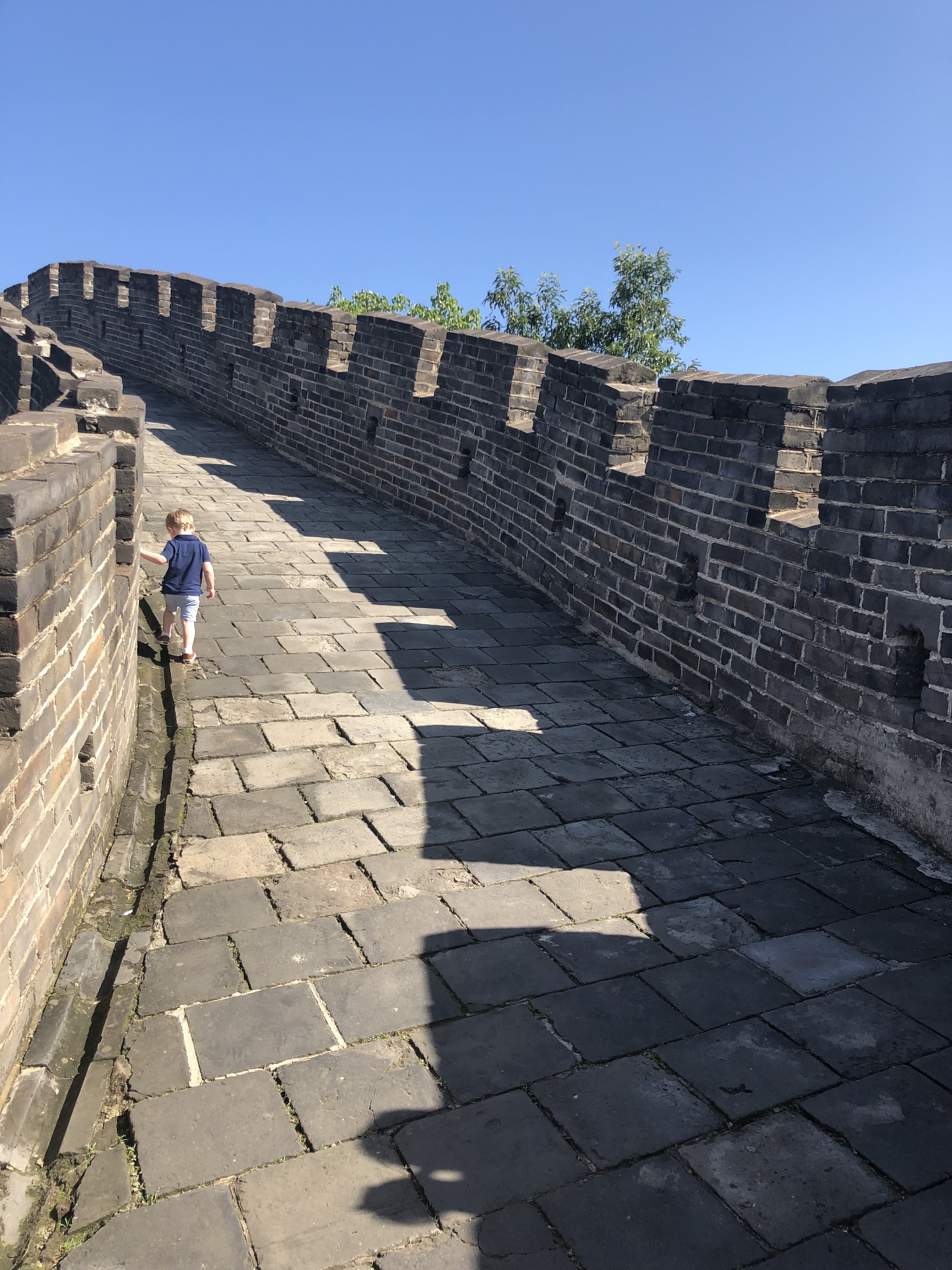 20190815_010519425_iOS (1)