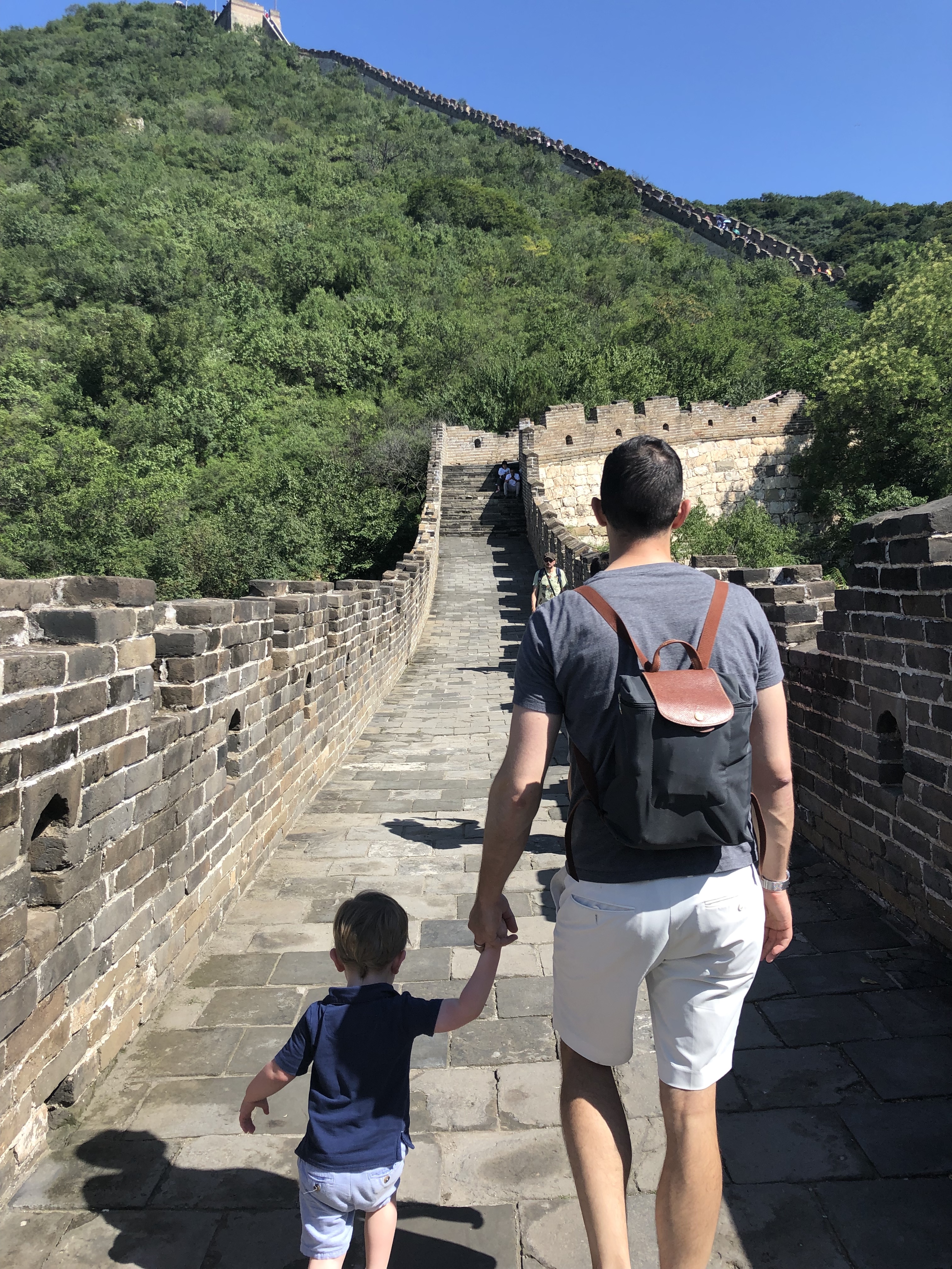 20190815_014553151_iOS