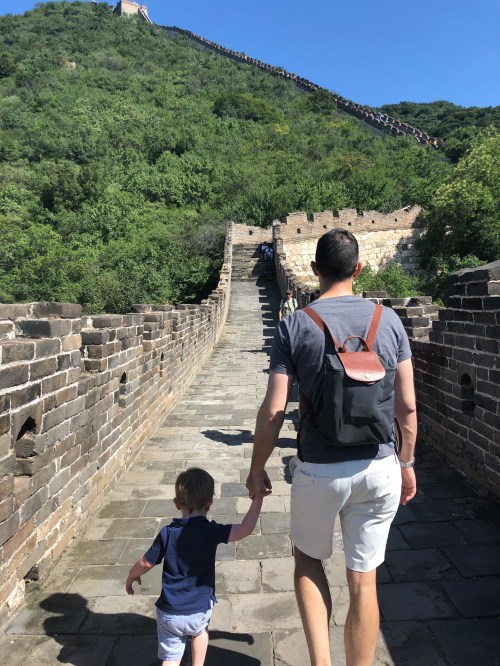 20190815_014553151_iOS