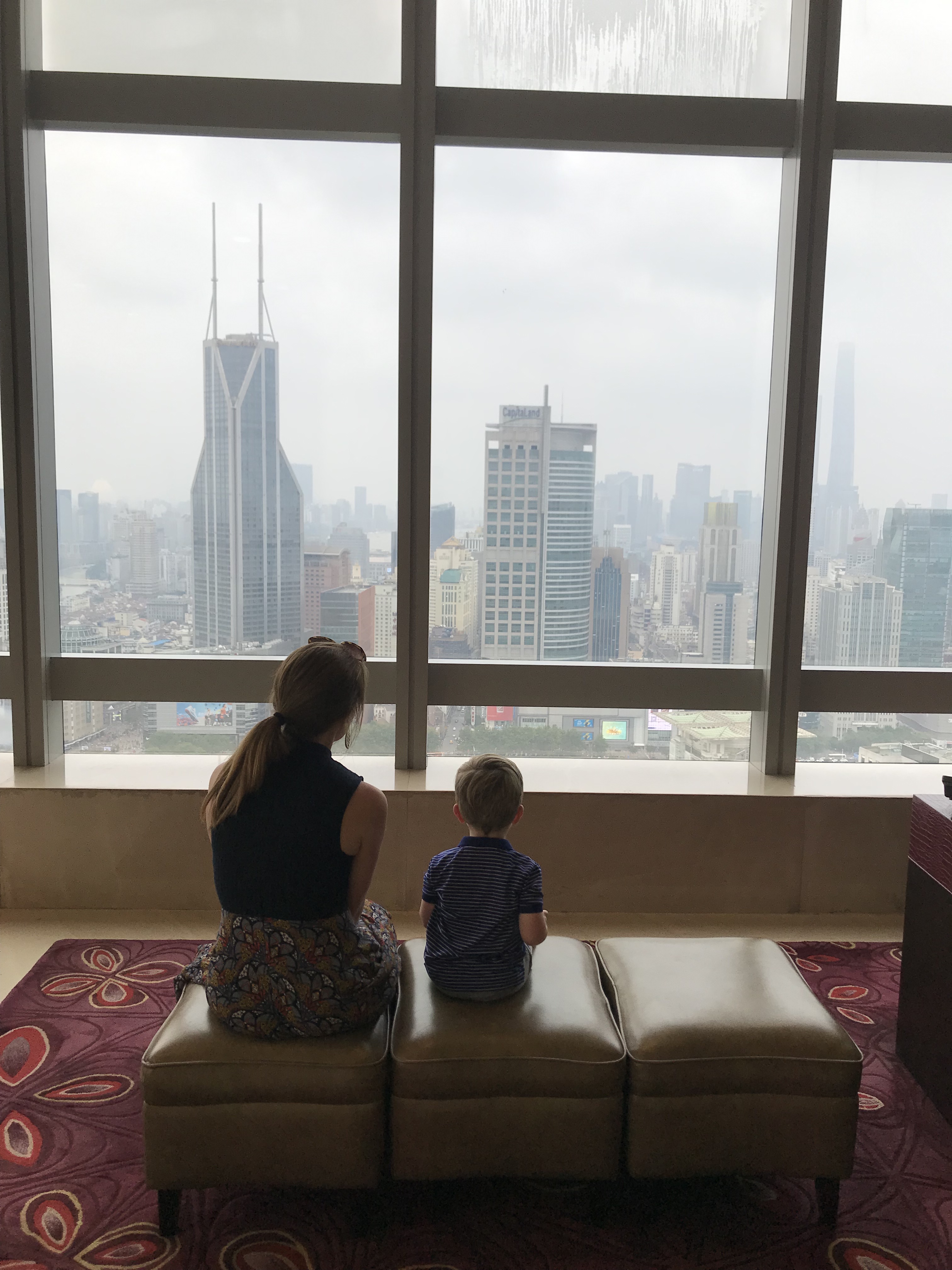 20190818_062845131_iOS