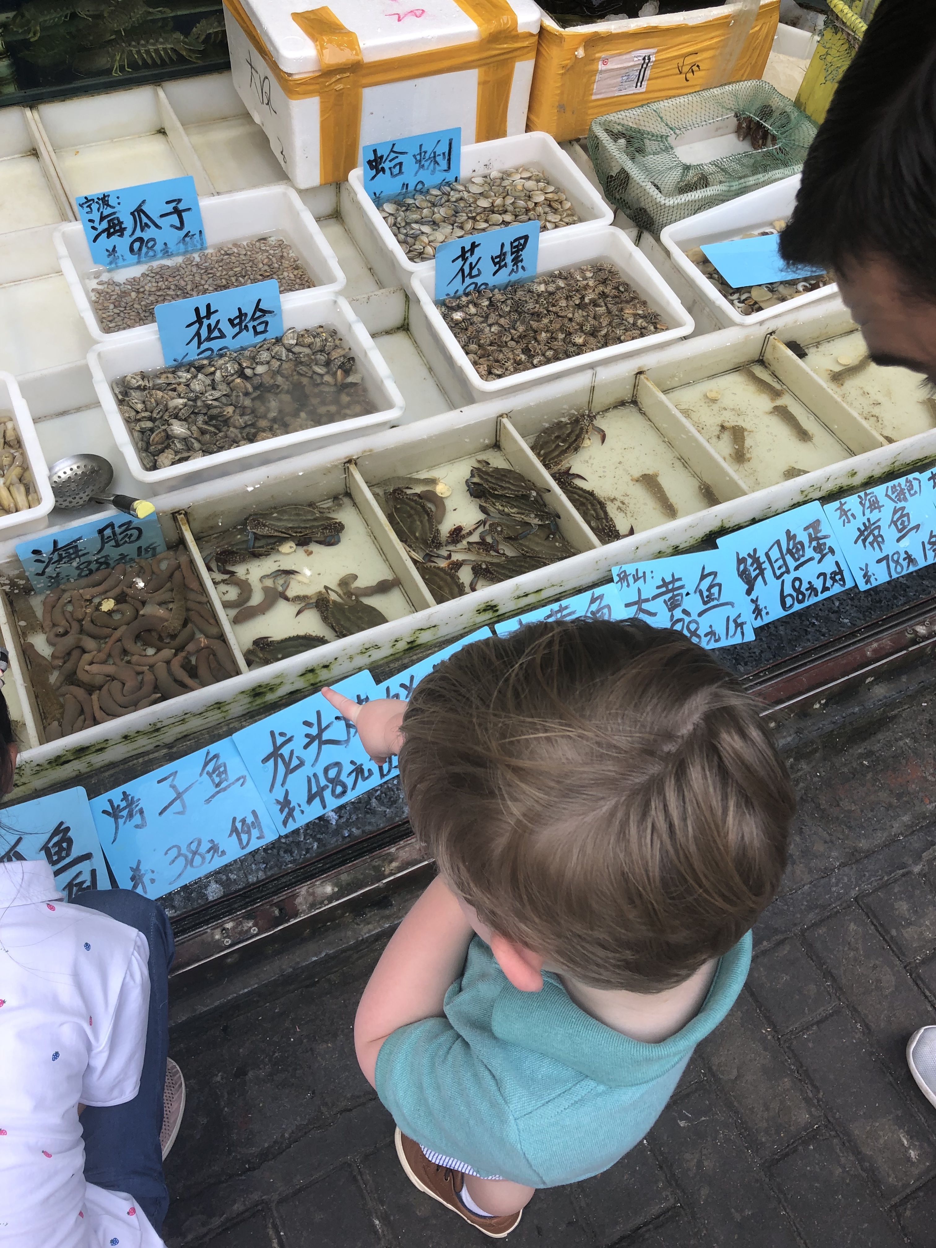 20190819_051414010_iOS