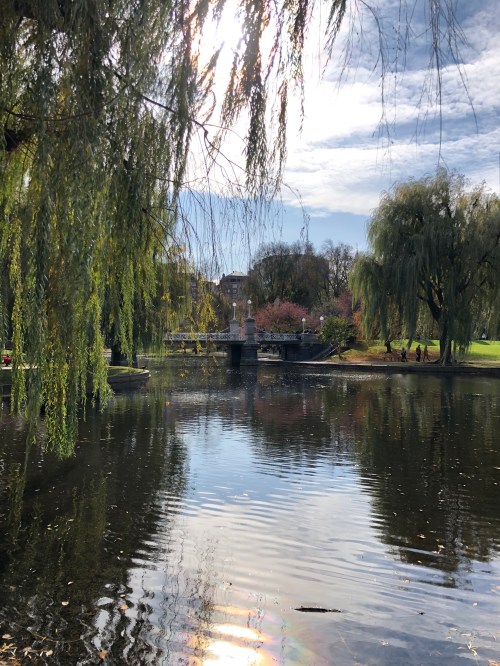 20191110_164326934_iOS