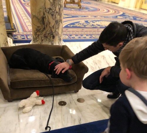 20191111_192721250_iOS