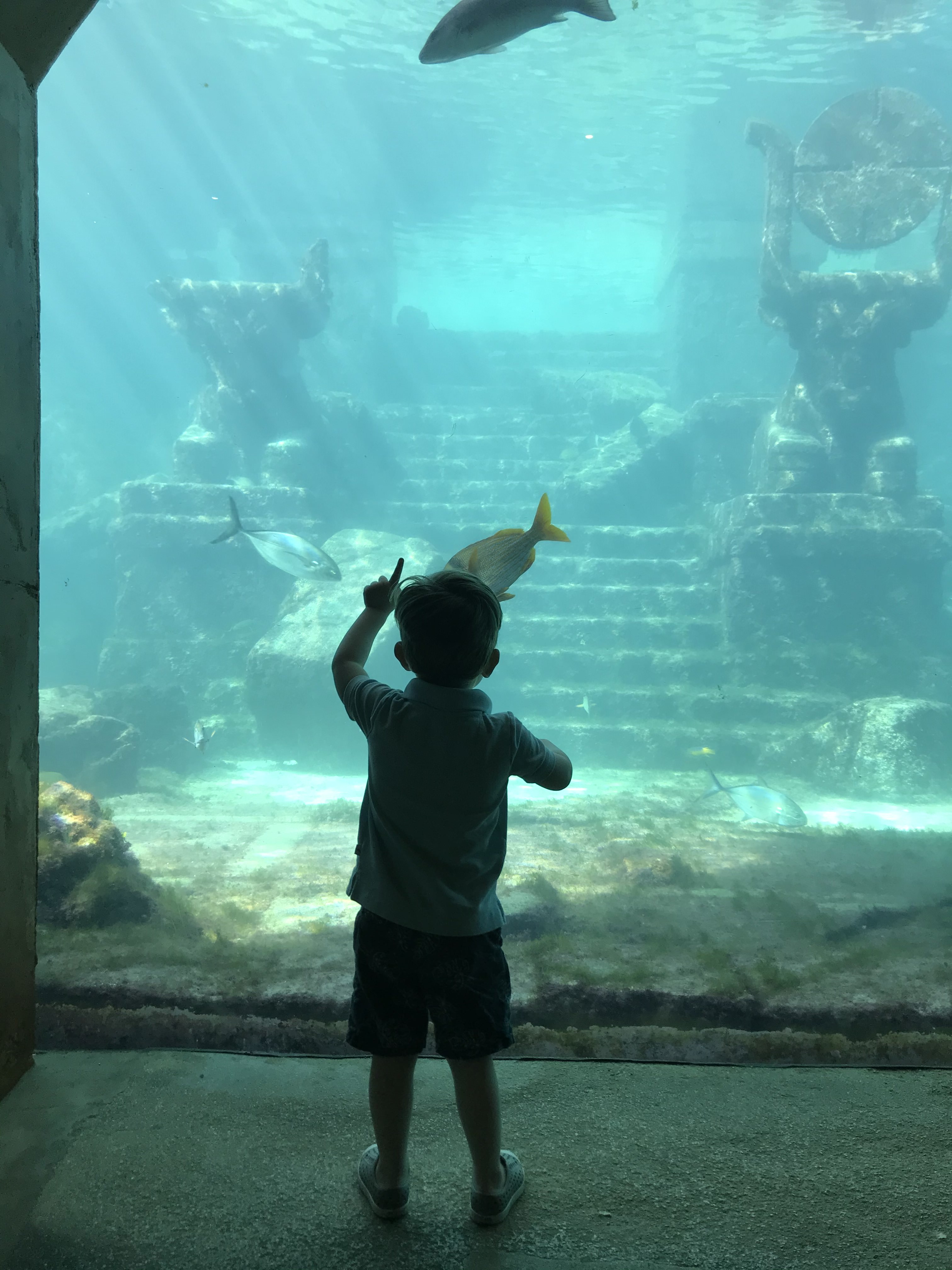 20191217_153649415_iOS_(1)